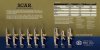 FNH_SCAR_Brochure_Page_2.jpg