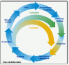 IntelligenceCycle.gif