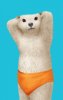 bearspeedo.jpg