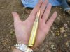 50 cal round.jpg