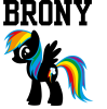 estampado_brony_rainbow_dash_by_jcos88-d5gshw0.png