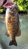 Savannah River smallie.jpg