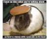 bunny pancake.jpg