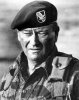 green-berets-john-wayne.jpg