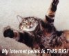 internet penis.jpg