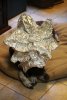 dog tinfoil hat.jpg