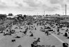 Mass-Disappearance-of-Vietnamese-Soldiers.jpg Mass-Disappearance-of-Vietnamese-Soldiers.jpg