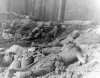 Troops-Endured-the-Worst-Conditions.jpg Troops-Endured-the-Worst-Conditions.jpg