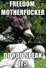 freedom-motherfucker-do-you-speak-ito-no-regrets-just-love-16867476.png