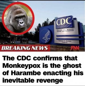 harambe.jpg