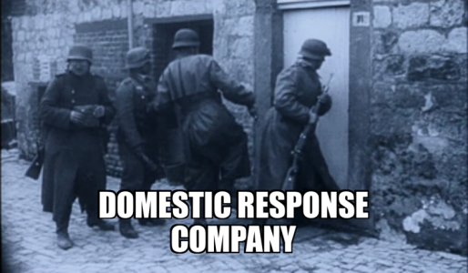 domestic-response-company.png