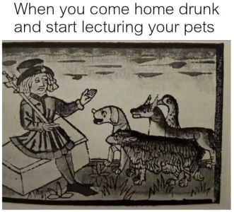 1736169510155.png 1736169510155.png