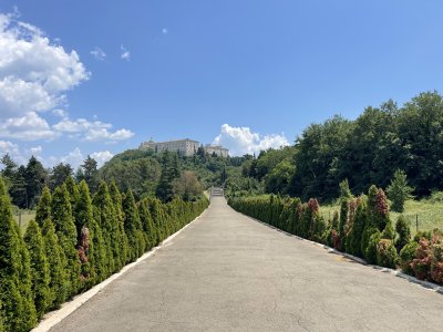 IMG_5032.jpeg