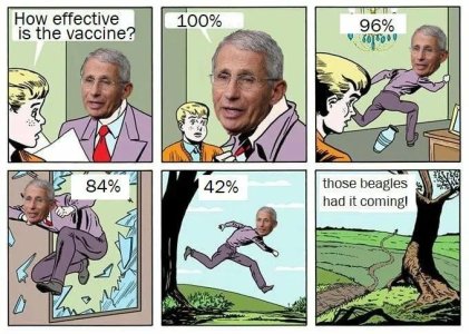 61ac13608a9e8.jpeg