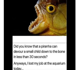 1000007478.jpg