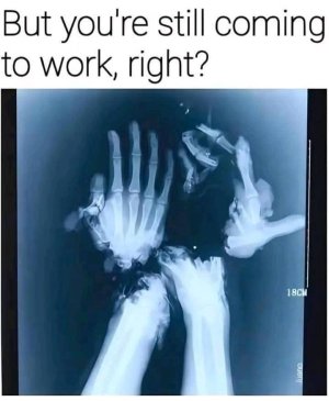 FB_IMG_1753555556515.jpg