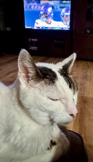 IMG_2651.jpeg