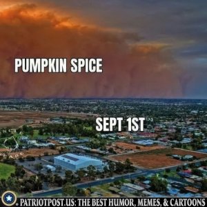 PUMPKIN.jpg