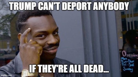 ice meme.jpg