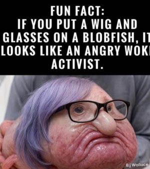 1000008193.jpg