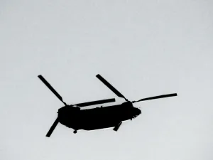 1763318013986.png 1763318013986.png