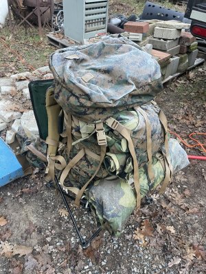 IMG_6299.jpeg IMG_6299.jpeg