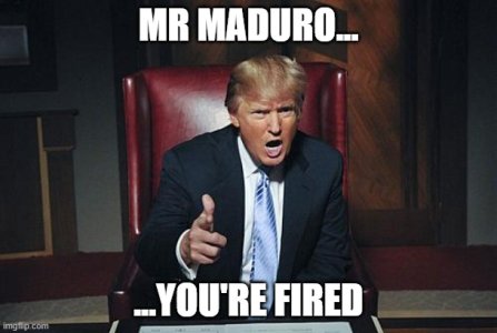 You're Fired.jpg