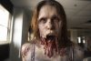 The-Walking-Dead-Season-2-Trailer-1.jpg