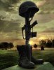 fallen-soldiers-memorial-elemental-changes-art-by-jennifer-stone.jpg
