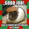 Bunny.jpeg