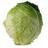 Cabbage Head