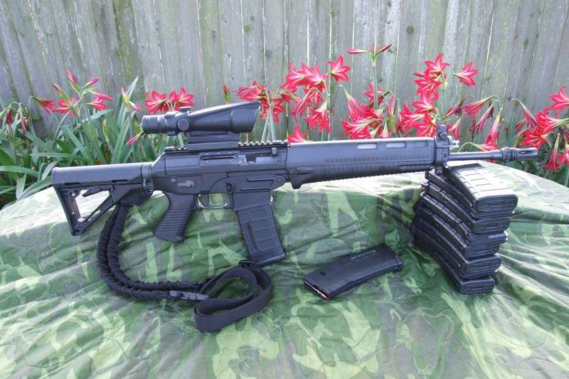 sig556withta11acog551ha.jpg