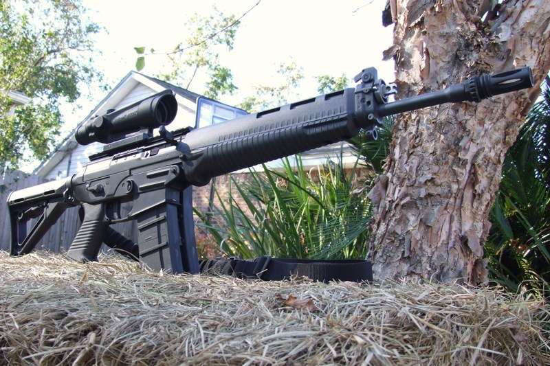 sig556withtrijiconacogtfg1.jpg