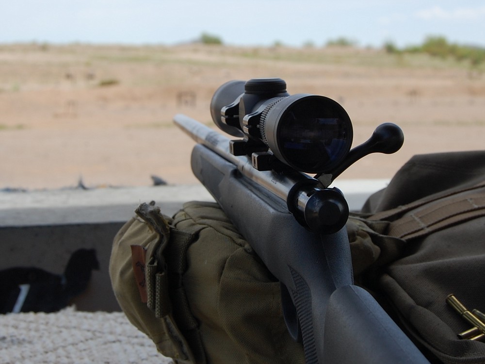 Savage93R-vi.jpg