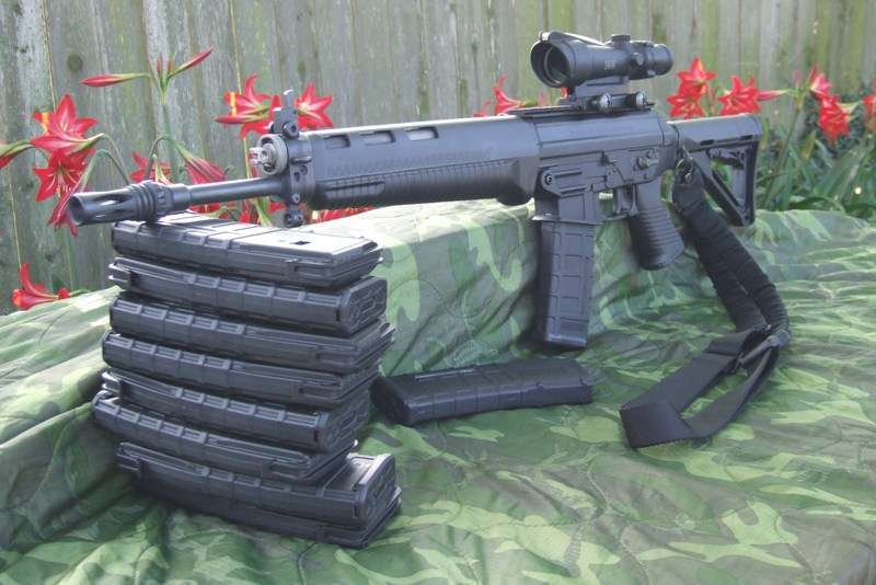 sig556withta11acog551hah.jpg