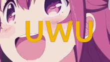Uwu GIFs | Tenor