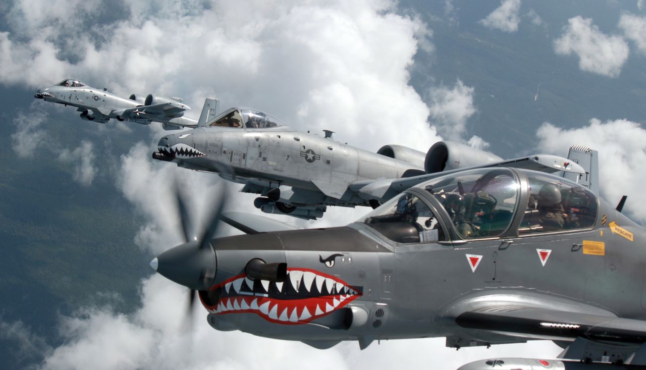 Sharkmouths.jpg