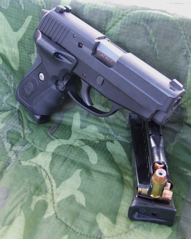 sigsauerp239withcrimsono.jpg