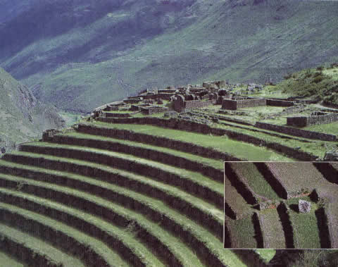 terraces1.jpg