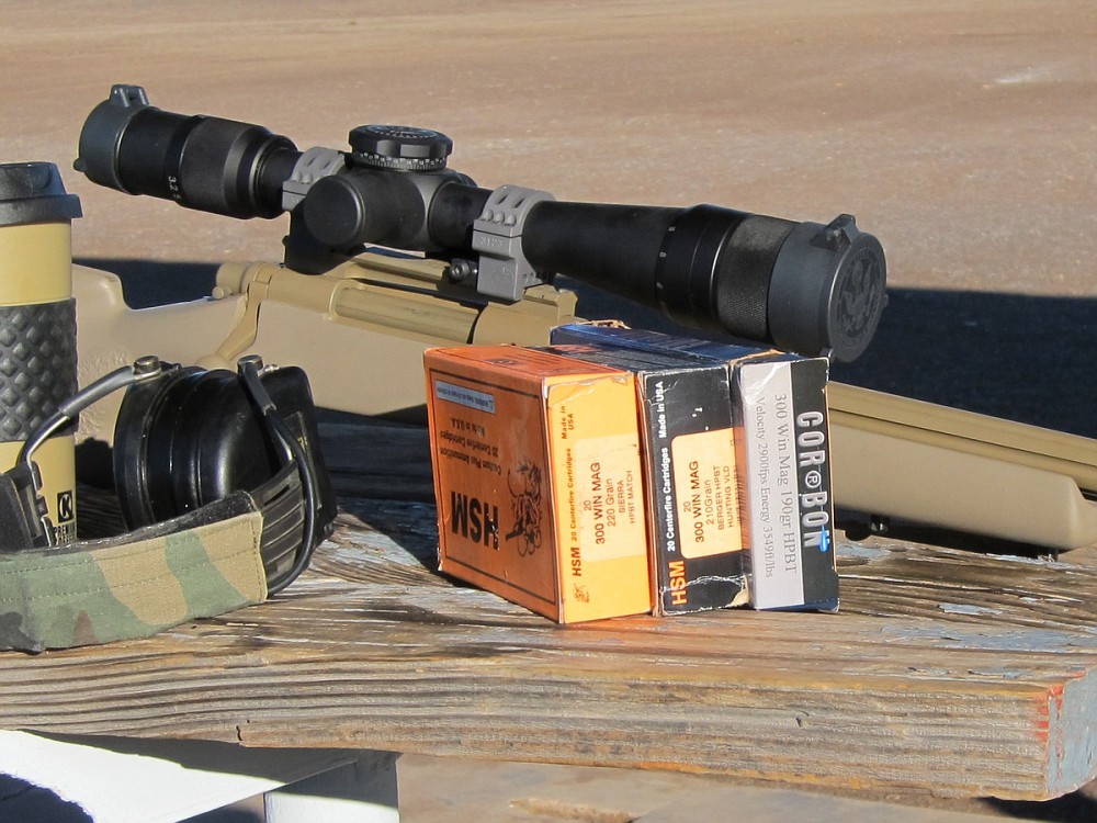 300WM016_cr-vi.jpg